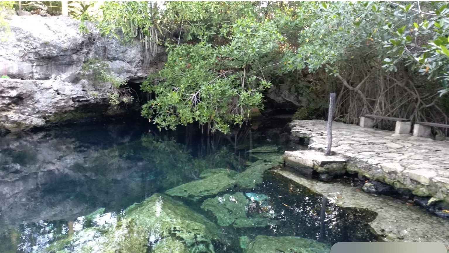 Cenote Cristalino near Playa del Carmen