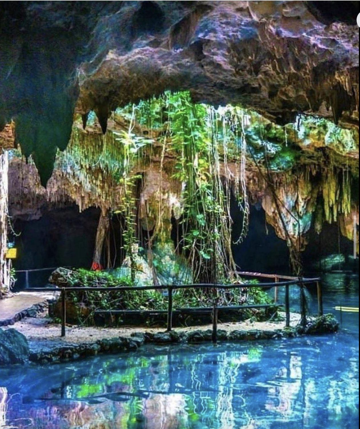 Cenote near Playa del Carmen