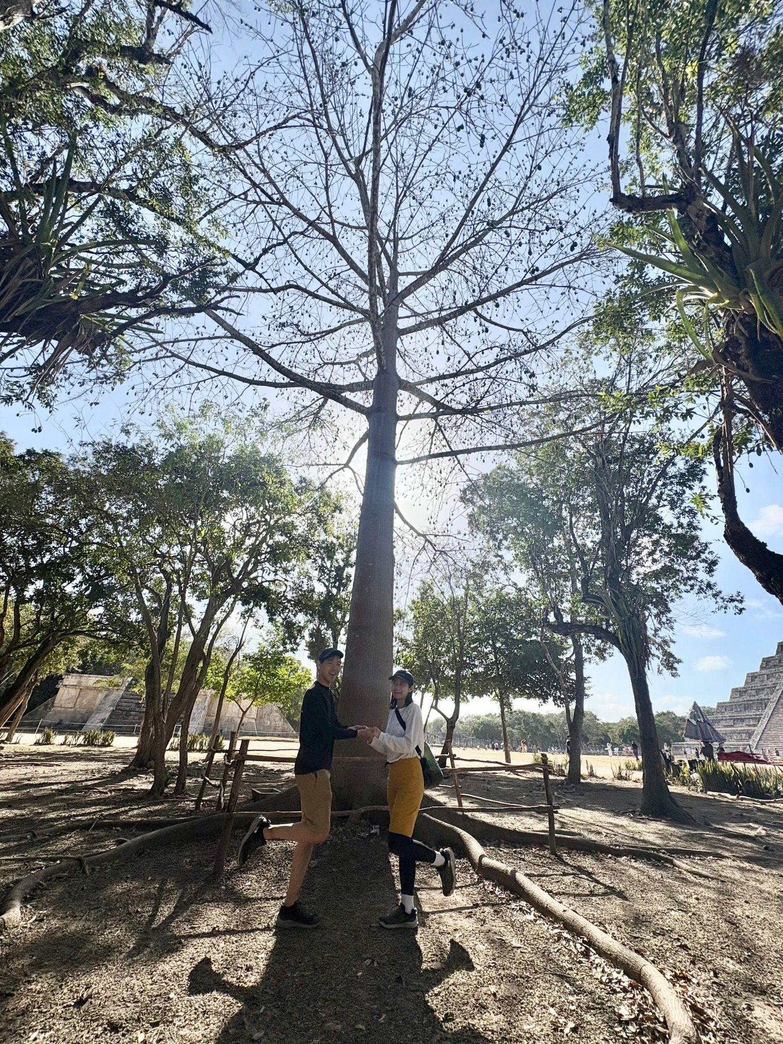 Large ceiba tree inside Chichen Itza with El Castillo in the background