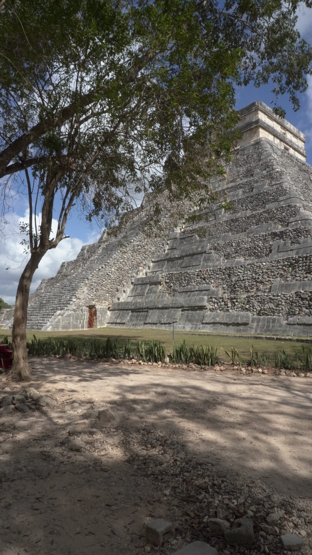 Side view of El Castillo at Chichen Itza framed by trees