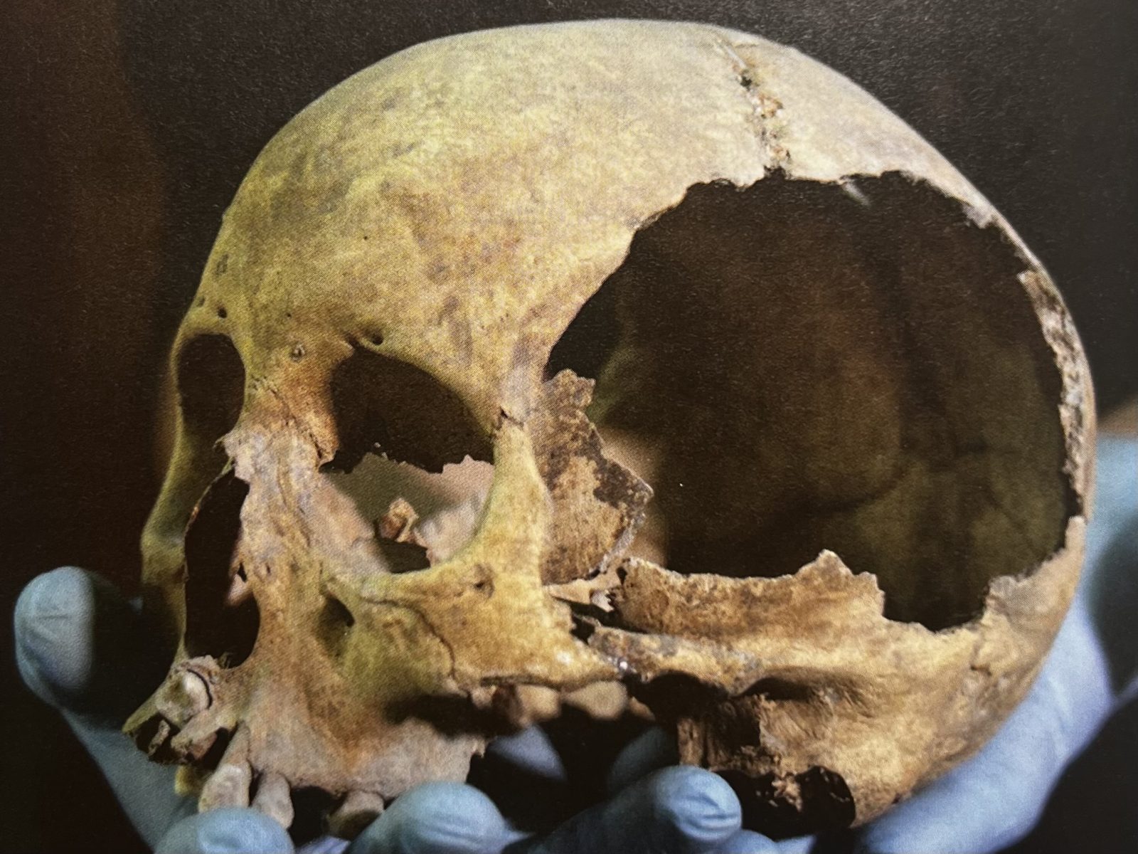 Maya archaeology exhibit detail connected with ritual history in Yucatan