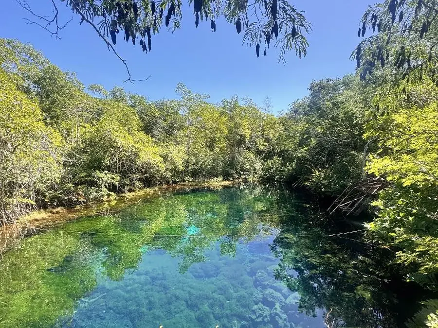 Clear water in an open cenote