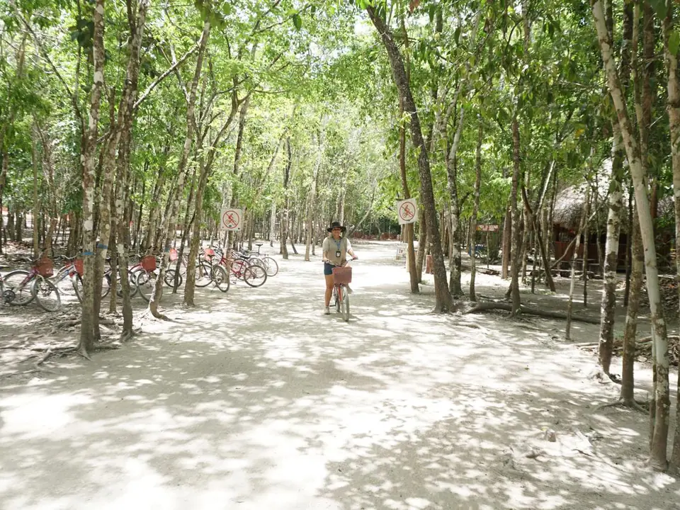 The trails at Cobá