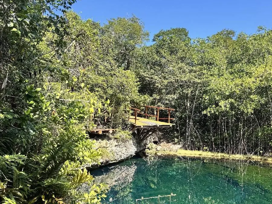 An open cenote surrounded by greenery