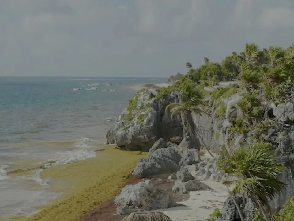 The coastal setting at Tulum