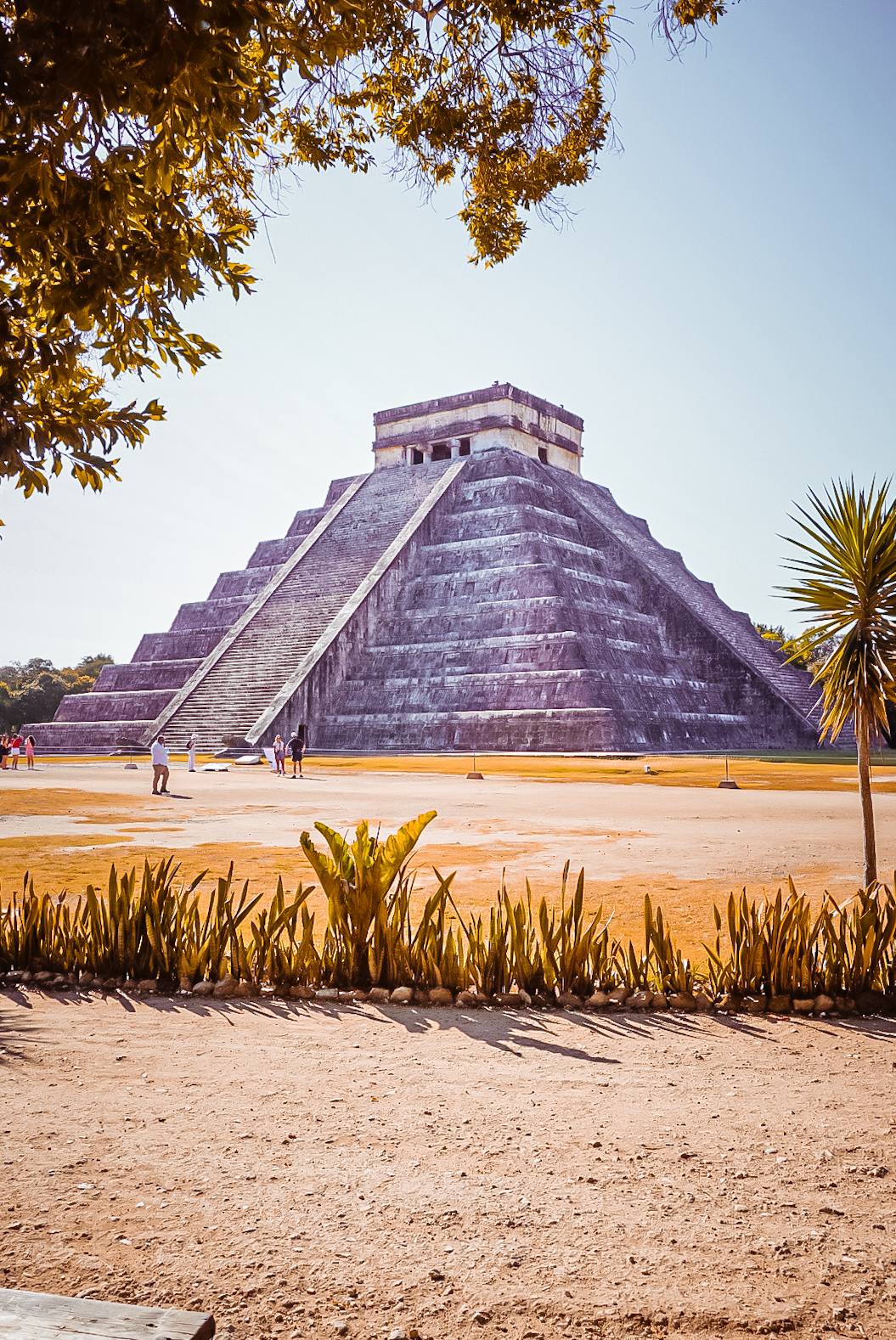 Private vs Group Tours in Riviera Maya