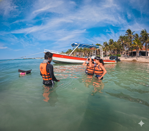 Private tours Riviera Maya