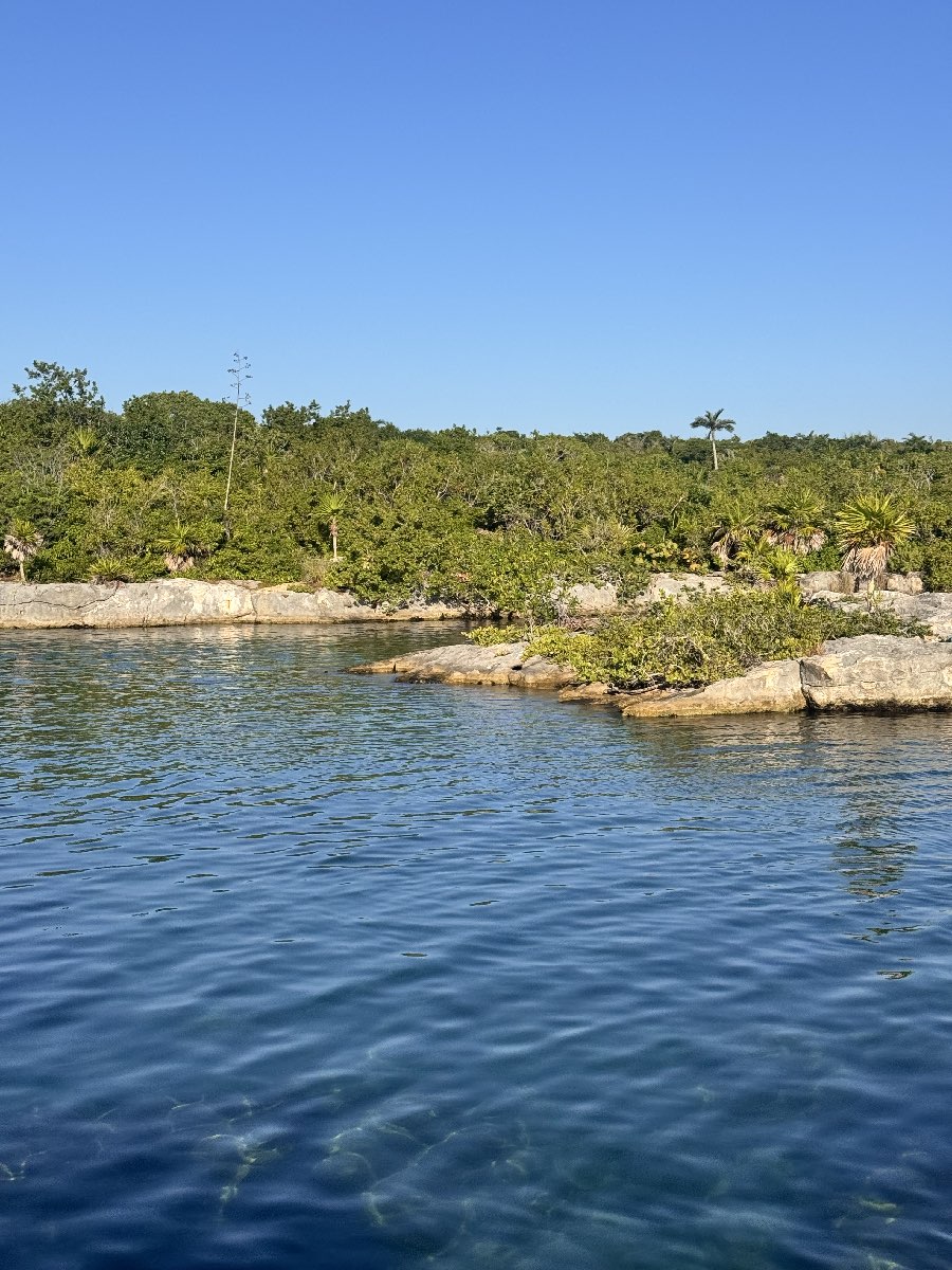 Quiet turquoise water at Yal-Kú Lagoon