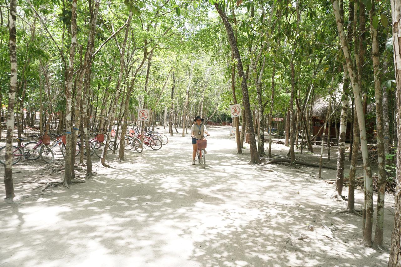 Cobá + Two Cenotes photo 3