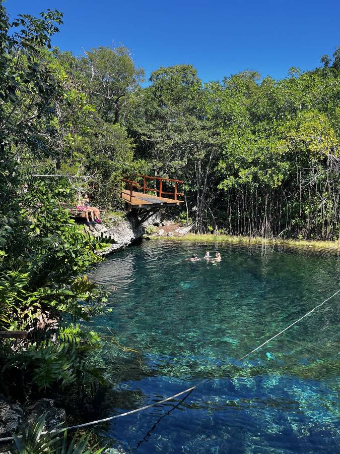 Private Sea Turtles + Cenotes photo 6