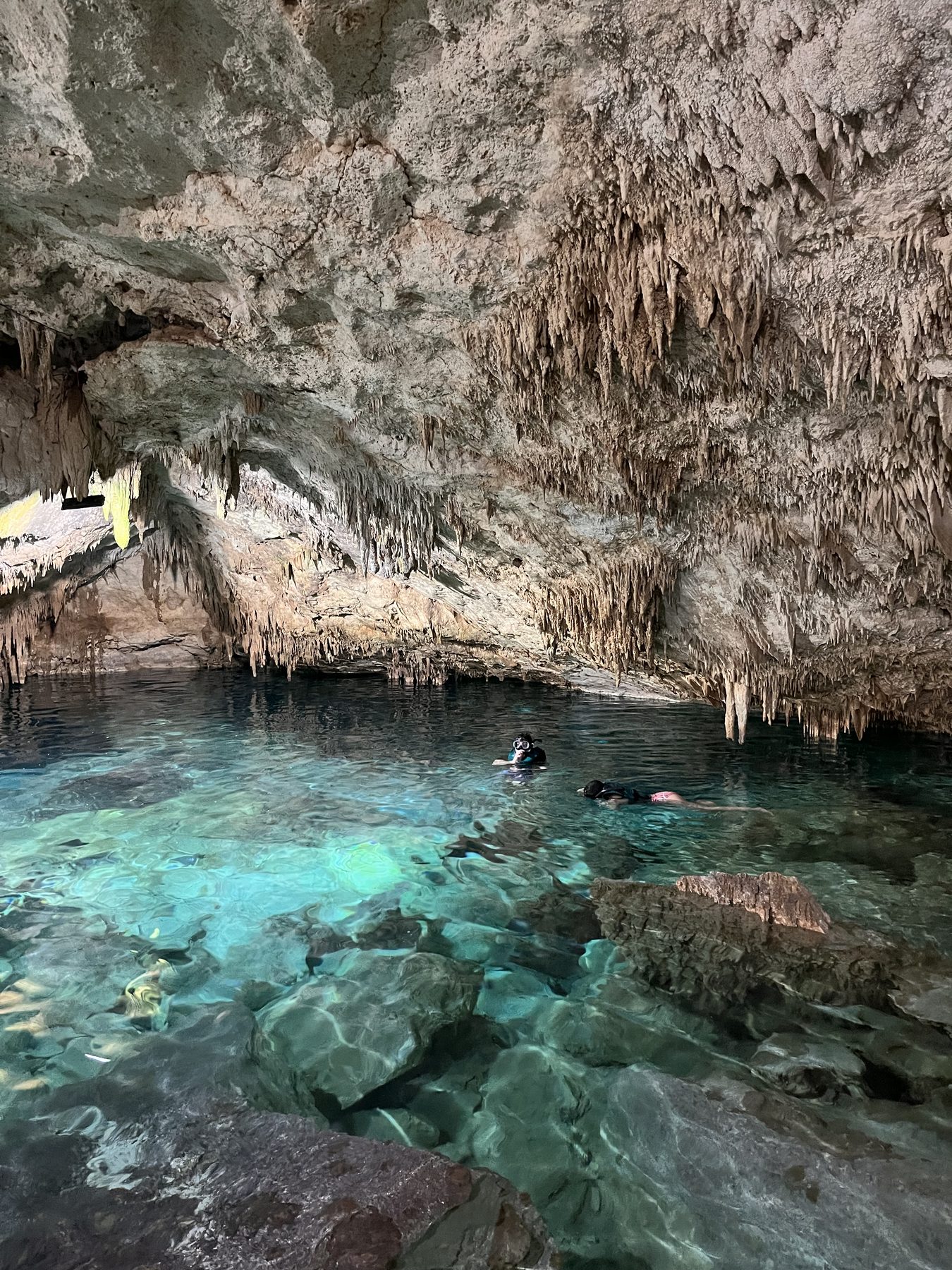 Crystal-clear cenote water in the Riviera Maya jungle