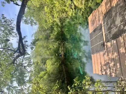 Freshwater cenote stop in the Riviera Maya