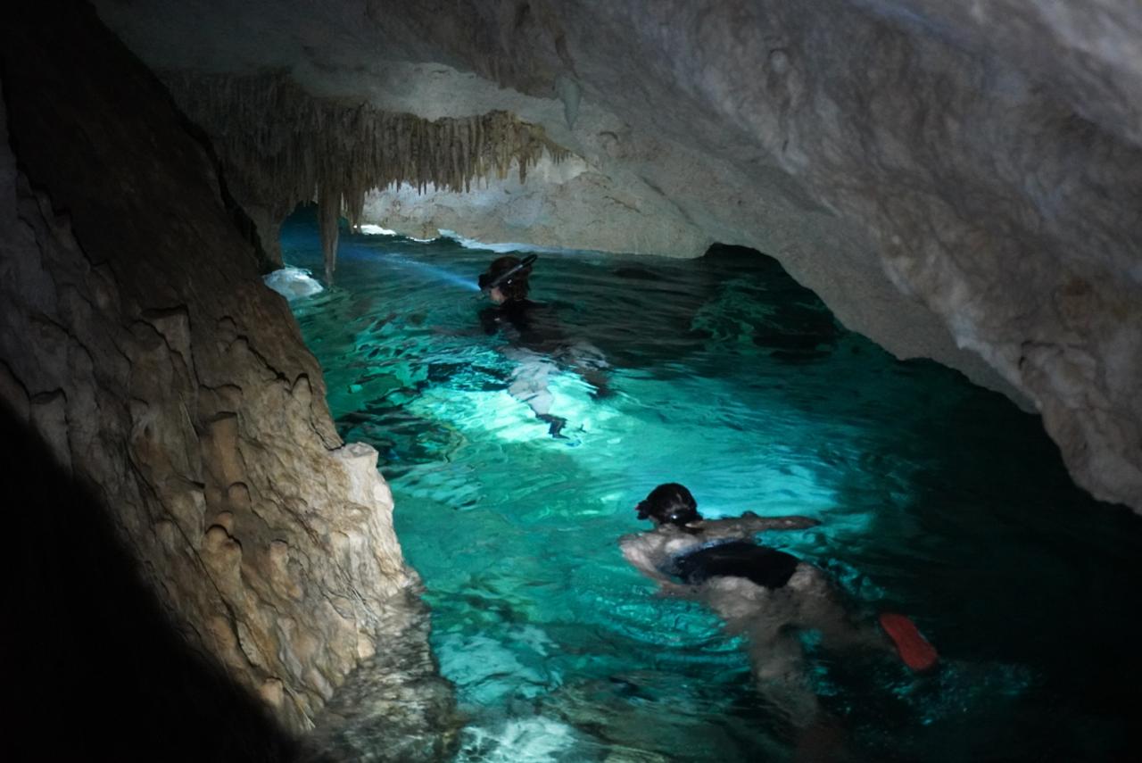 Private cenote tour with guide near Playa del Carmen and Tulum